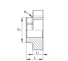 Shaft support blocks (INA) INA FW50 50×106×50 mm (2/2)
