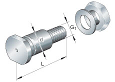 Concentric bolts for track rollers (INA) INA LFZ25X82-A1 25×20×92 mm