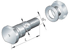 Eccentric bolts for track rollers (INA) INA LFE12X45-A1-RB
