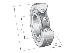 LEŽAJ INA LR6000-2RSR 10×28×8 mm