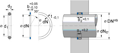 Back-up ring (FREUDENBERG) FREUDENBERG 100x5,1x2 SRI PTFE — 100*5,1*2 100×100.2×5.10 mm (2/2)