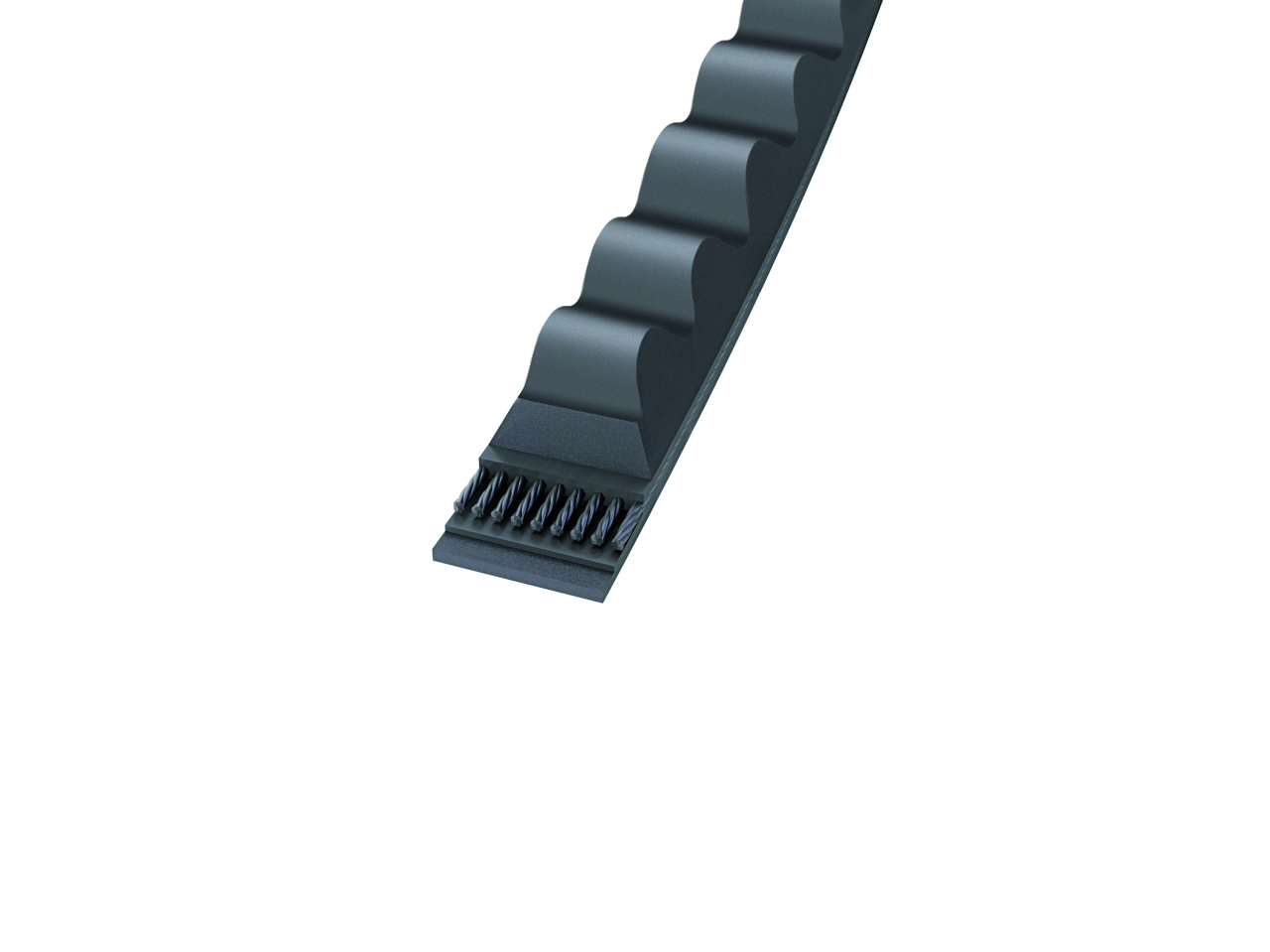 V-Belts (CONTITECH) CONTITECH XPC 2000 22×2000 mm (1/2)