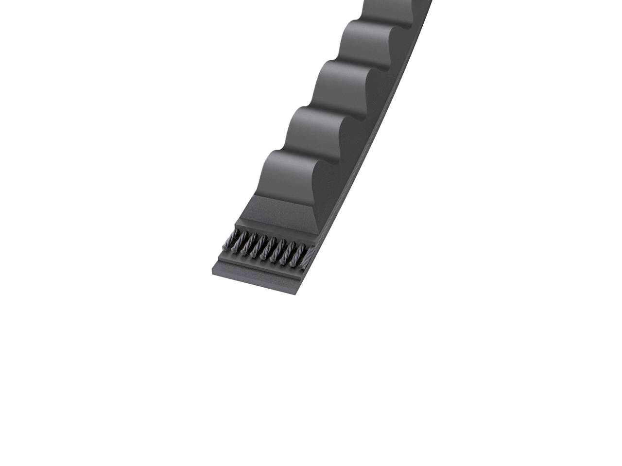 V-Belts (CONTITECH) CONTITECH XPZ 562 10×562 mm (1/2)