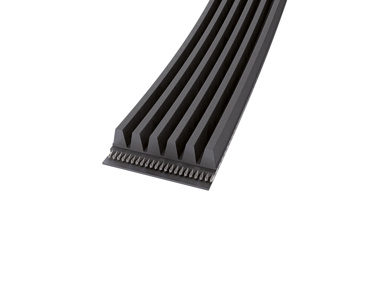 Poly-V Belts (CONTITECH) CONTITECH 4622PL/1820L-10-RIB — 4622PL/1820L-10-REB