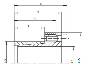 Cone Clamping Elements (RINGSPANN) RINGSPANN RLK110 80x100 — RLK110 80*100 80×100×106 mm